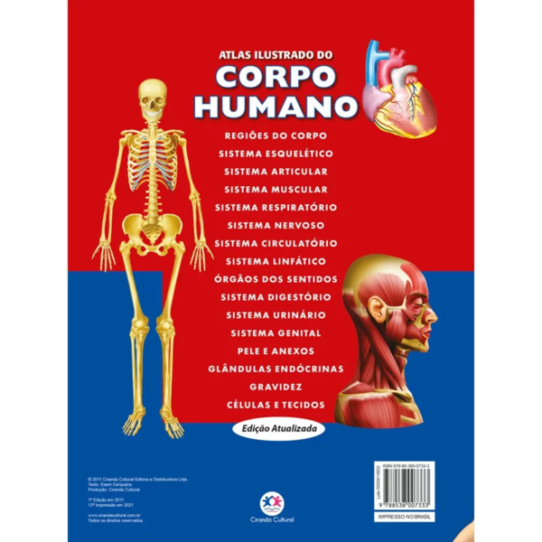Atlas ilustrado do corpo humano - Image 2