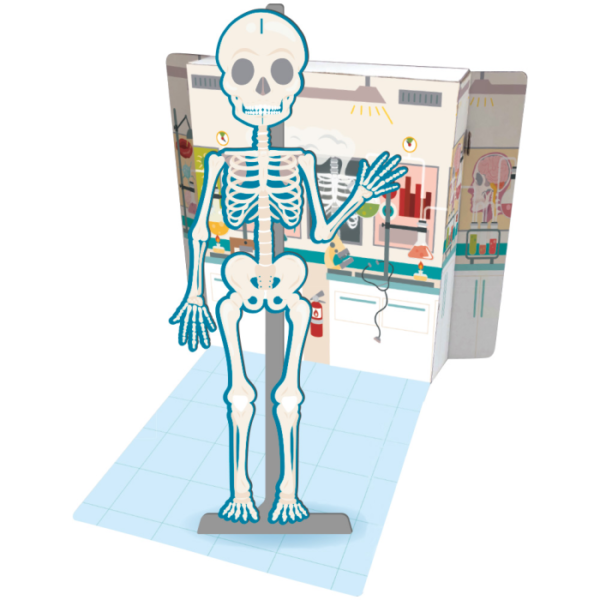 BOX de Aprendizagem - Grandes Ideias: Genial Corpo Humano - Image 7
